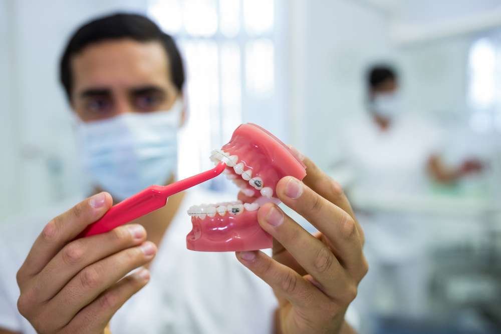 A dental professional demonstrating toothbrushing on a model of teeth.